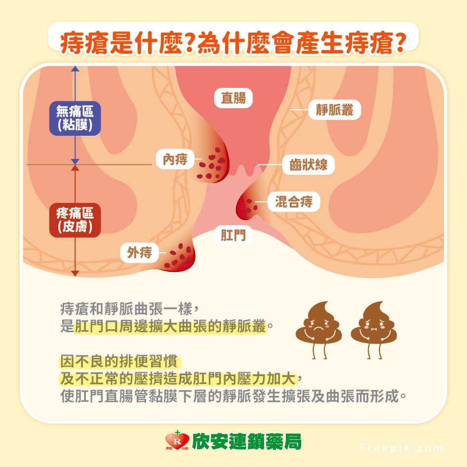 proimages/shinanhealth/20240626痔瘡/7月衛教學堂-排便時流血.感覺大便大不乾淨.小心痔瘡已找上門-00027163_新纖麗錠_60S-03.jpg